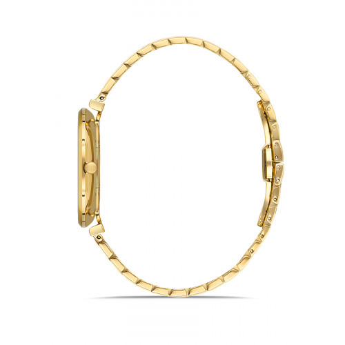 Hislon Erkek Kol Saati CL119G-08SG