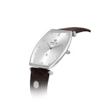 Hislon Erkek Kol Saati CL179S-03KS