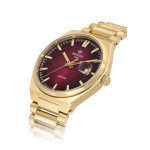 Hislon Erkek Kol Saati CL222G-14SG