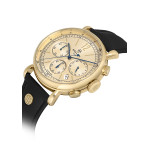 Hislon Erkek Kol Saati-MS100G-08BG