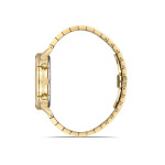 Hislon Erkek Kol Saati MS210G-08SG