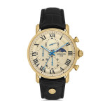 Hislon Erkek Kol Saati TM112G-08BG