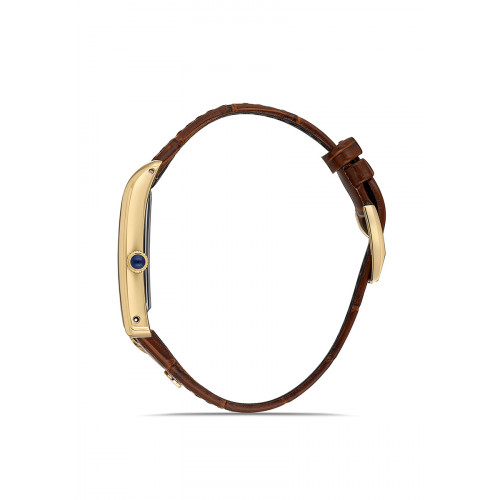 Momentus Erkek Kol Saati CM365G-02KG