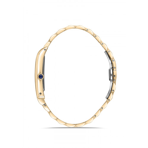 Momentus Erkek Kol Saati CM365G-02SG