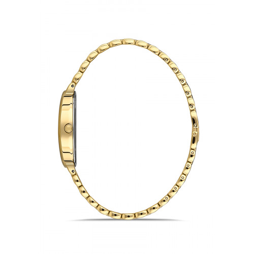 Momentus Kadın Kol Saati CW254G-02SG