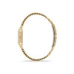 Momentus Kadın Kol Saati CW320G-02SG