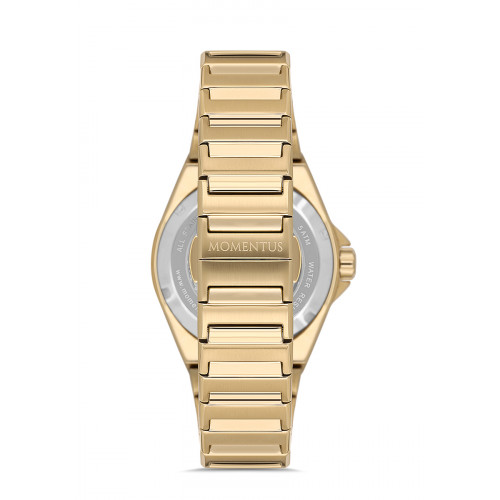 Momentus Erkek Kol Saati MM101G-16SG
